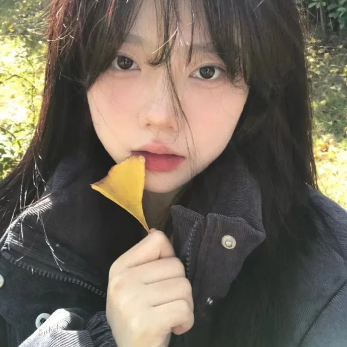 我是海鸥